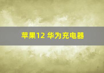 苹果12 华为充电器